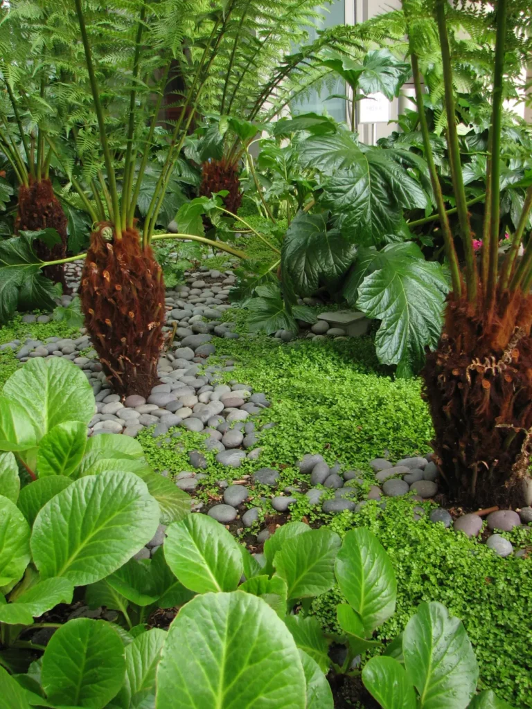 Landscaped planted garden with greenery and rocks